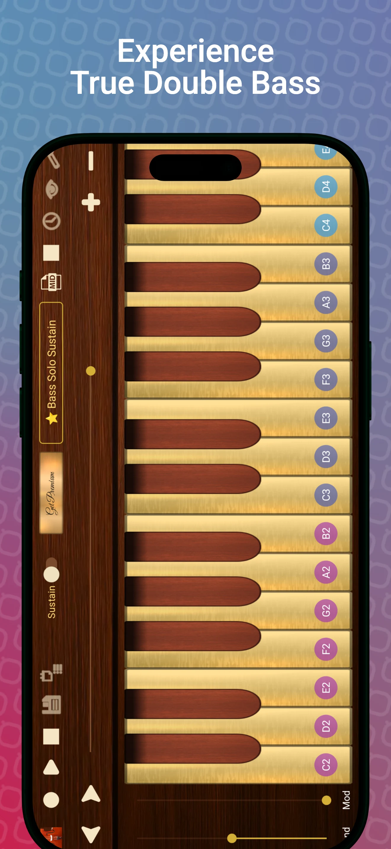 Professional Double Bass screenshot