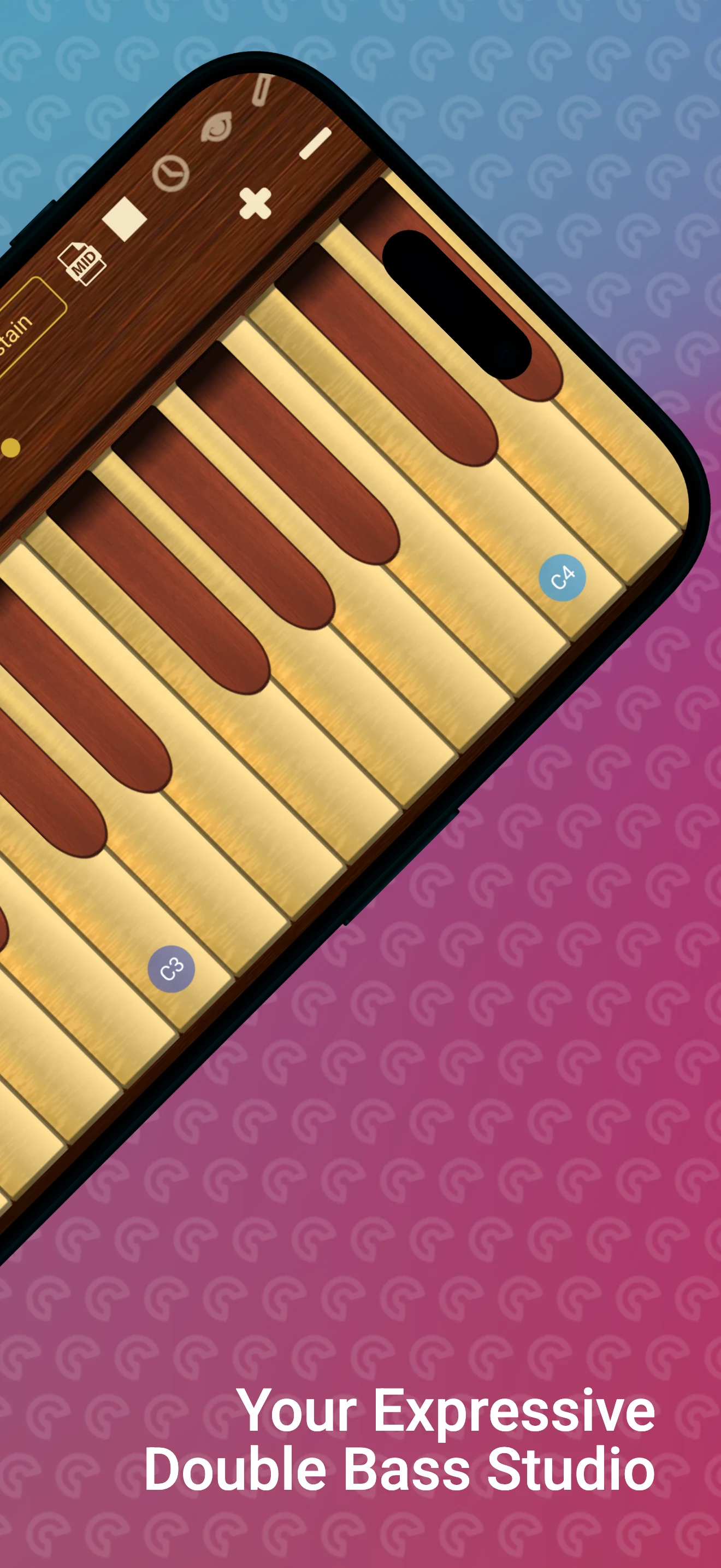Professional Double Bass screenshot