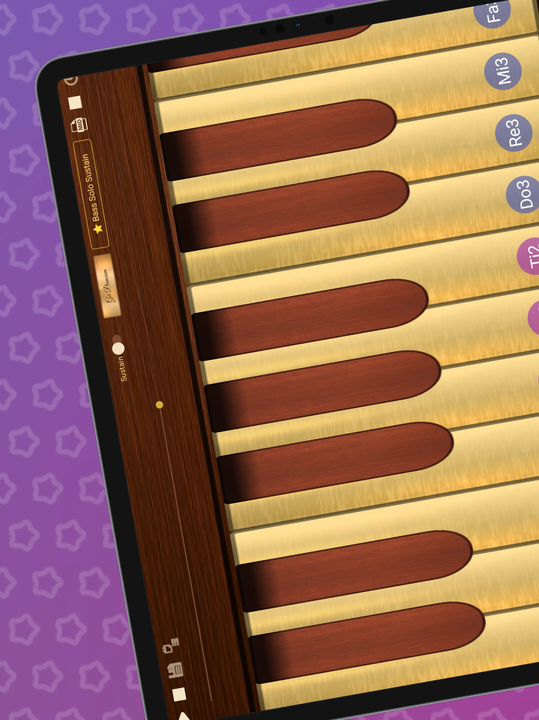Professional Double Bass screenshot