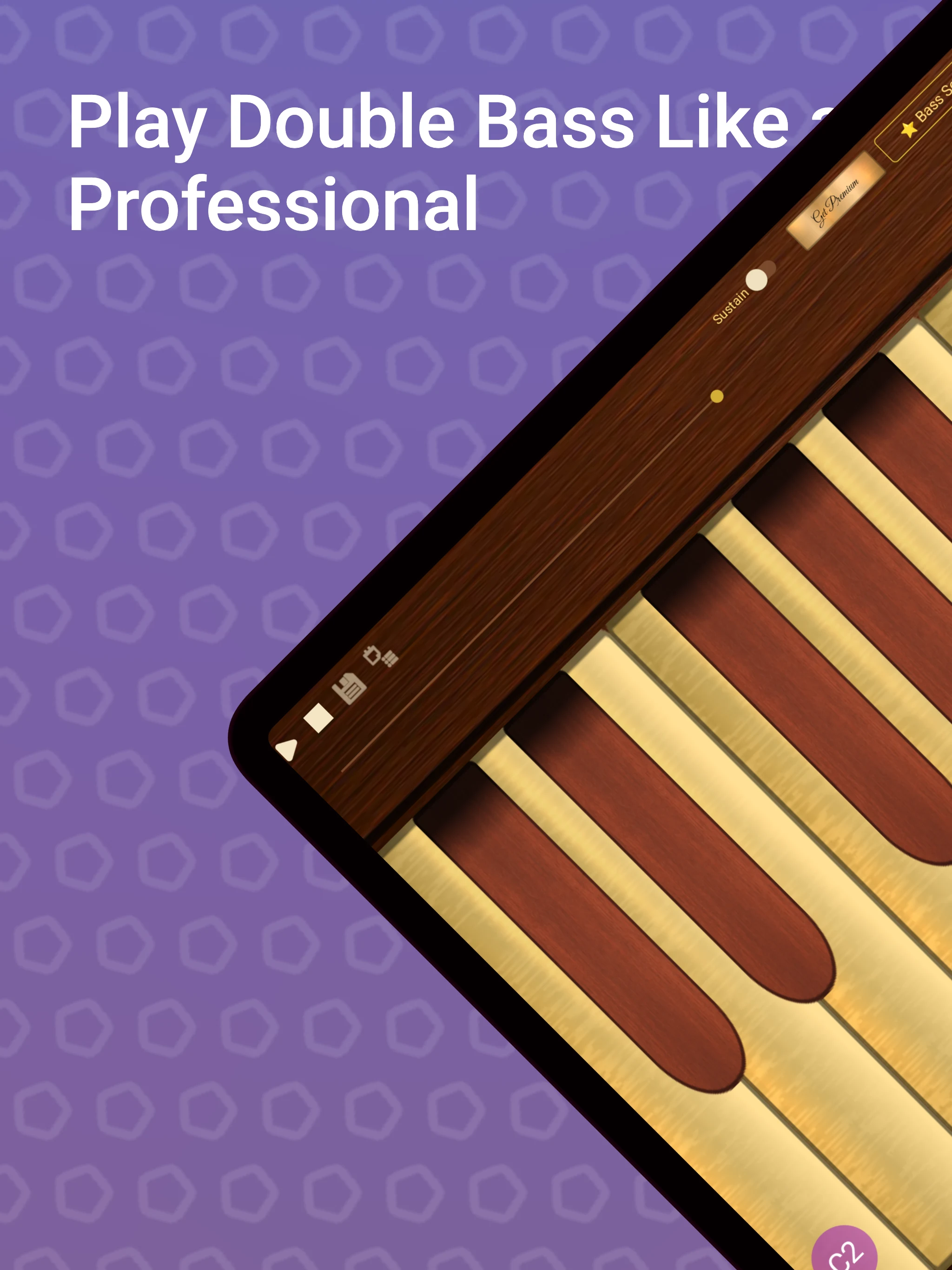 Professional Double Bass screenshot