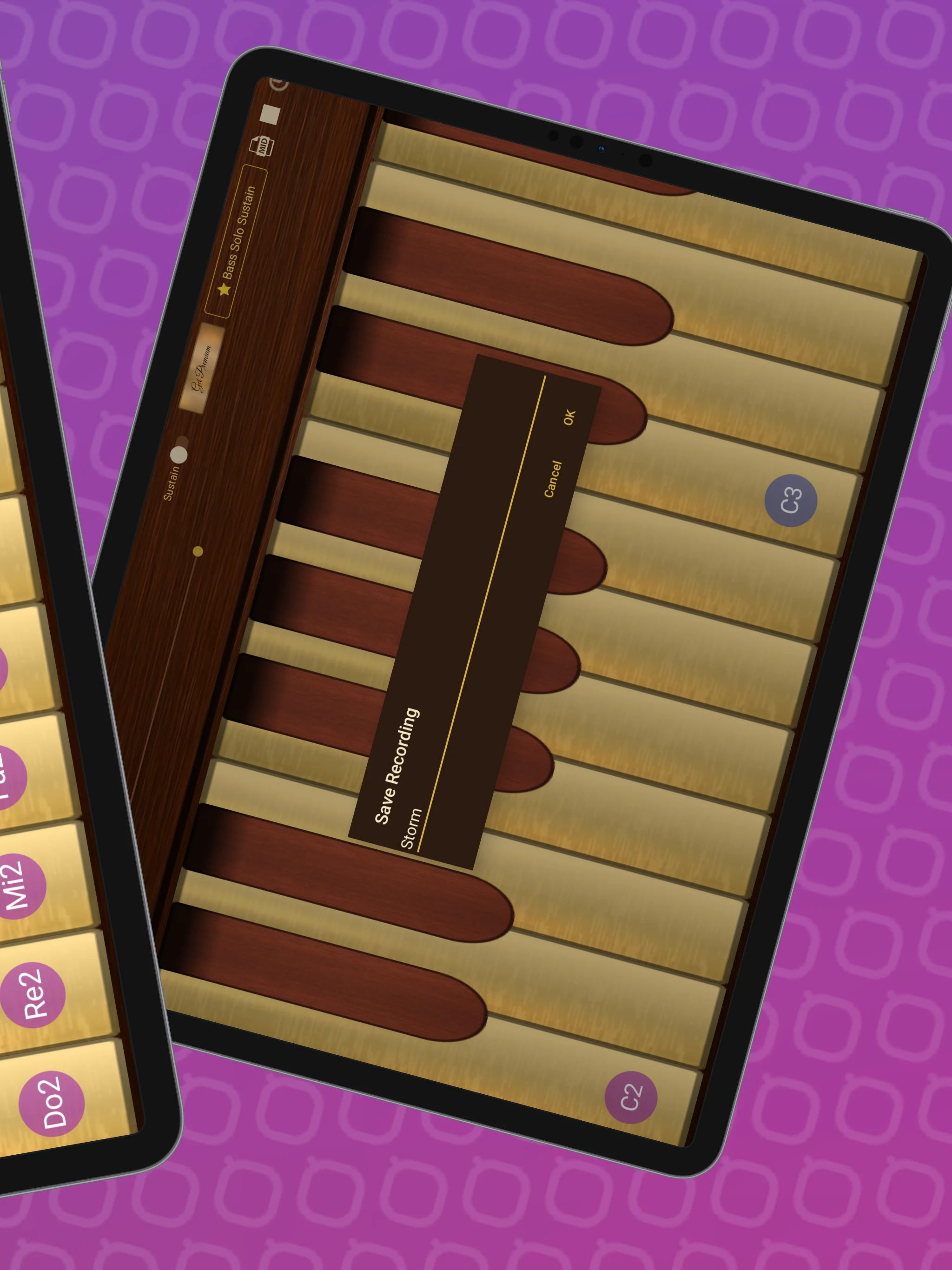 Professional Double Bass screenshot