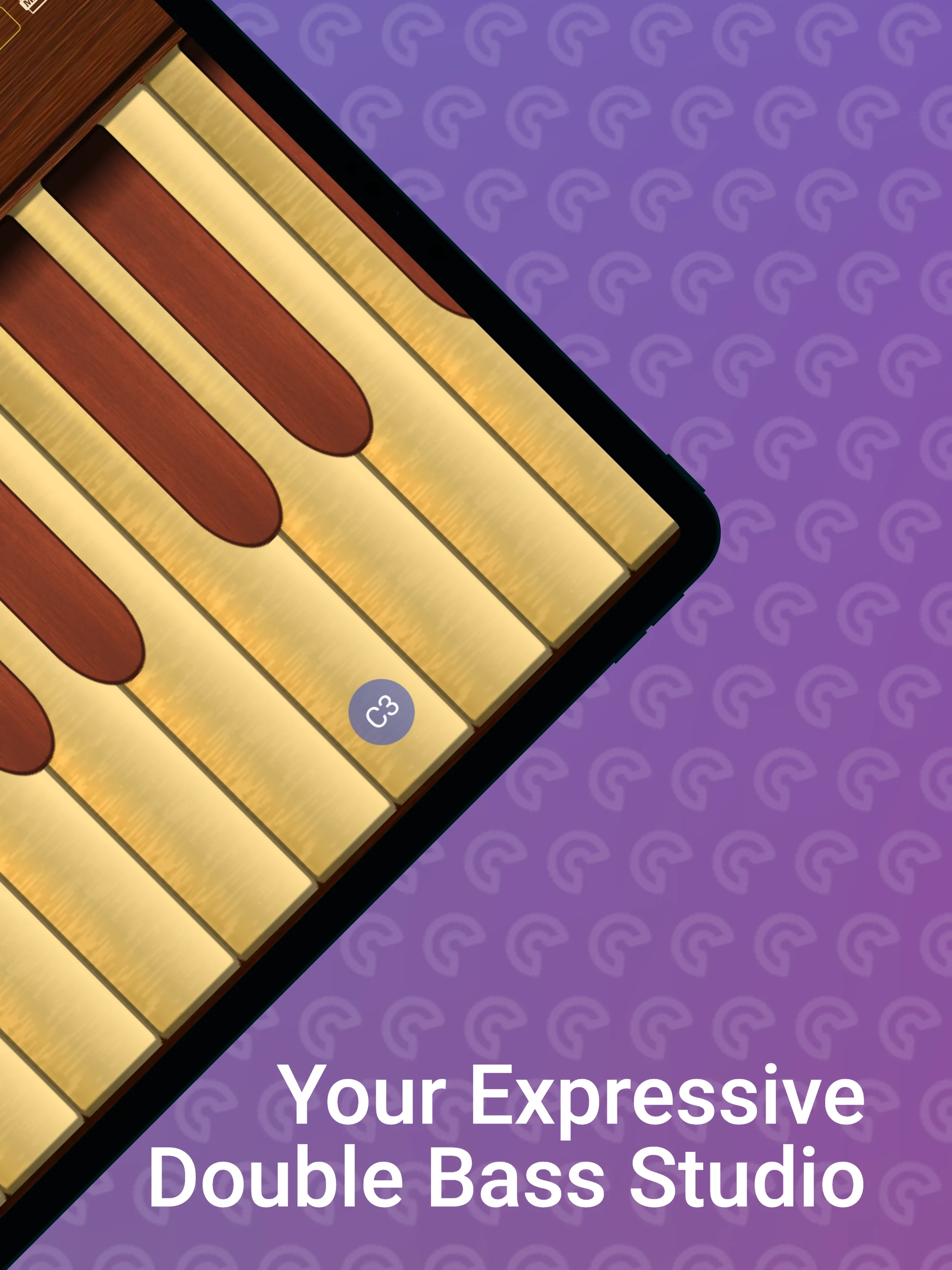 Professional Double Bass screenshot
