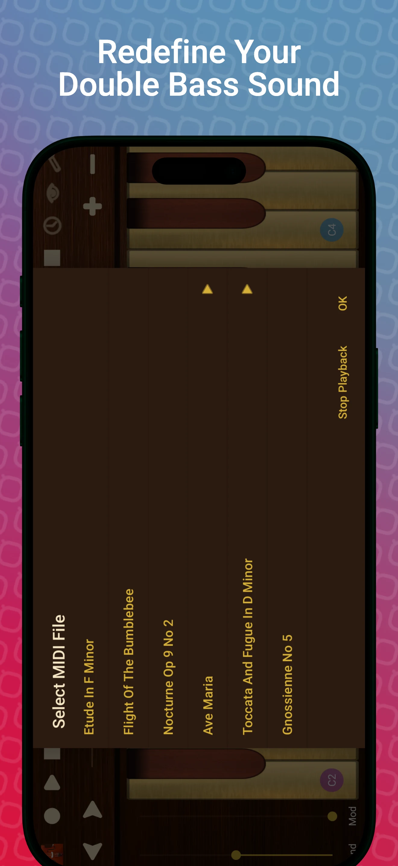 Professional Double Bass screenshot